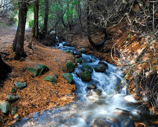 Réserve naturelle du Marais-Léon-Provancher